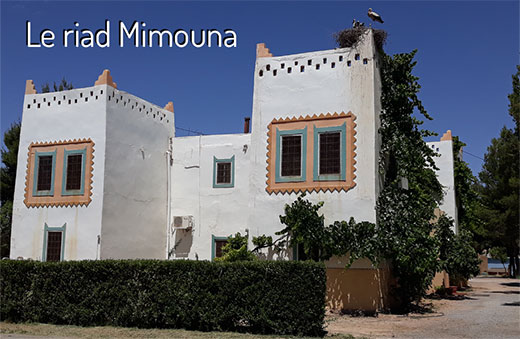 Riad Mimouna